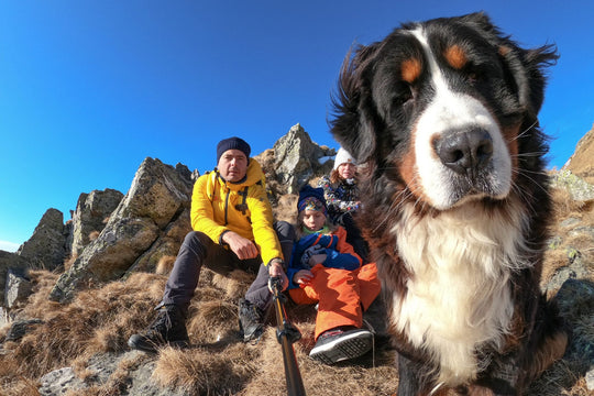 What are the things to bring when hiking with your dog?