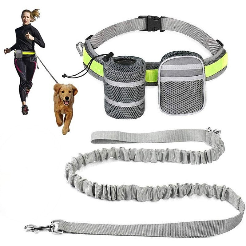 Handsfree Dog Leash With Two Storage Bags