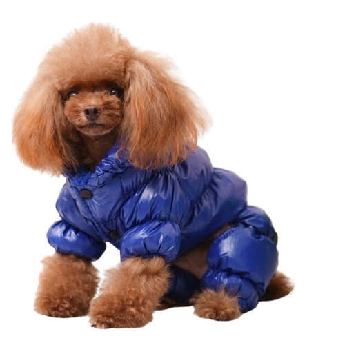 Fashion Windproof Winter Dog Clothes