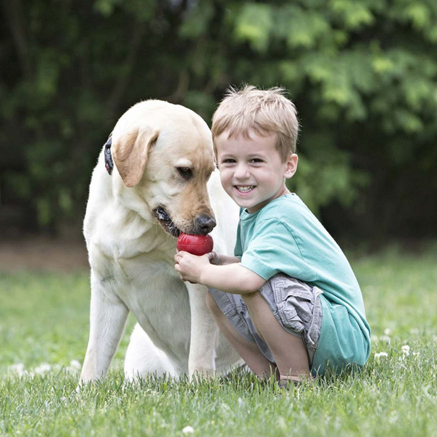 Natural Rubber Classic Dog Toy