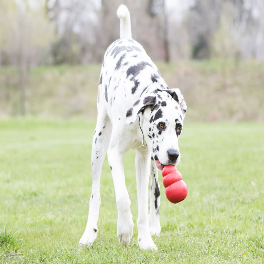 Natural Rubber Classic Dog Toy