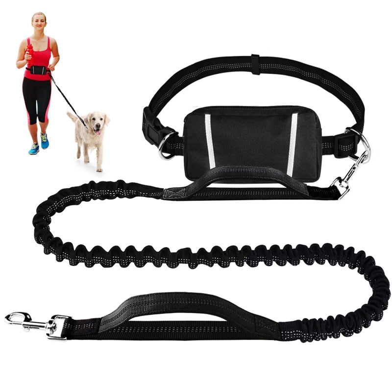 Elastic Bungee Hand Free Dog Lead