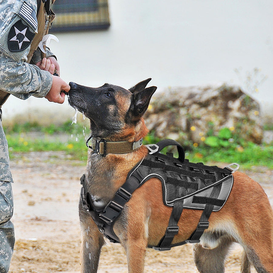 German Shepherd Military Dog Harness