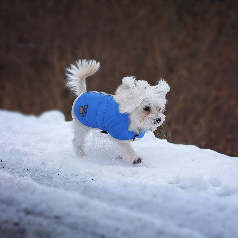 Reversible Fleece Winter Dog Clothes