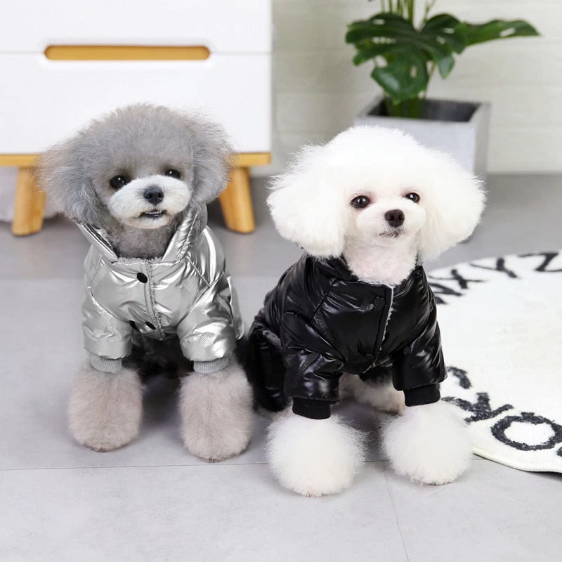 Outdoor Winter Hooded Dog Coat