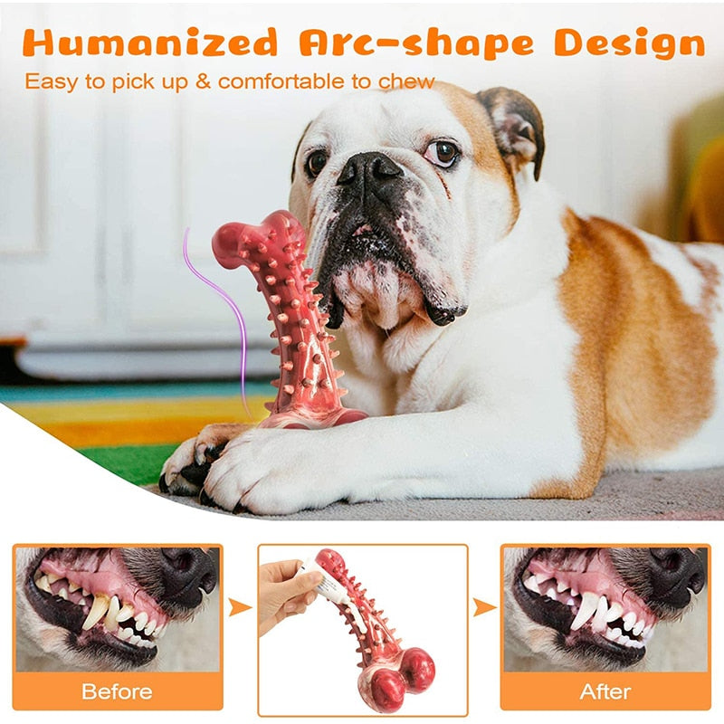 Beef Flavor Dog Bone Chew Toy