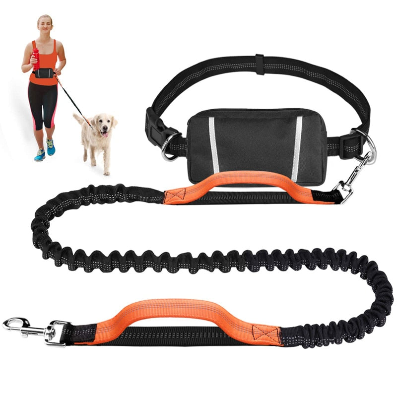 Elastic Bungee Hand Free Dog Lead