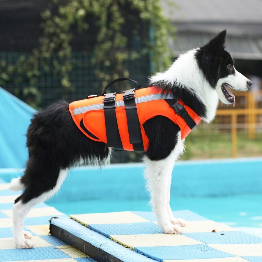 Summer Cooling Pet Dog Life Jacket