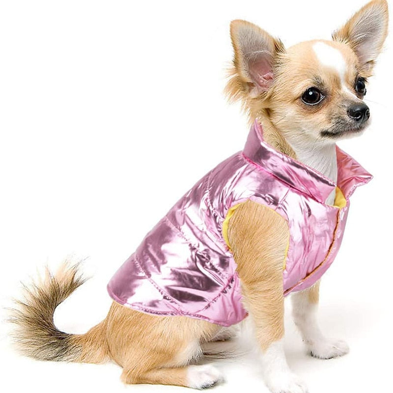 Cute Warm Cozy Dog Winter Coat