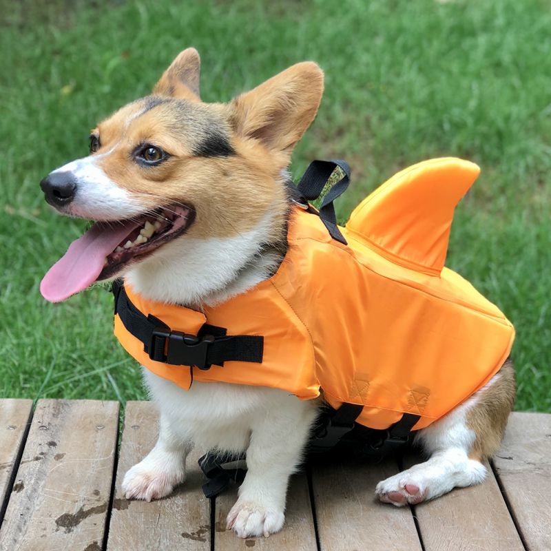 Summer Orange Shark Dog Life Vest