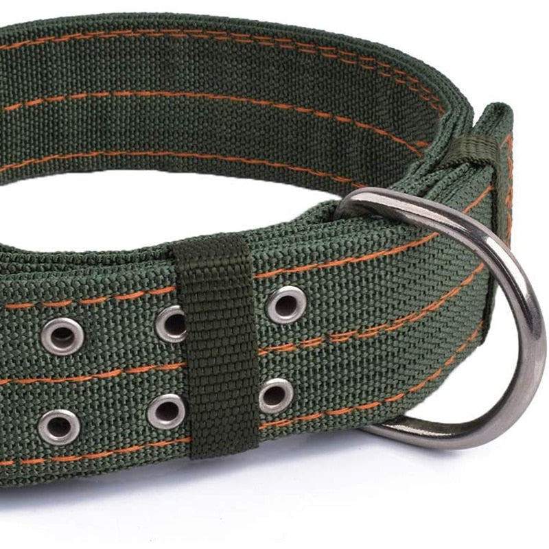 2 Row Metal Buckle Tactical Dog Collar