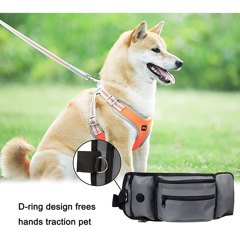 Durable Pet Training Treat Bag