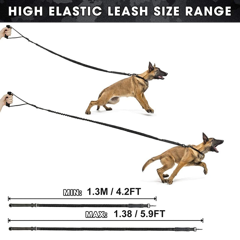 Ergonomic Padded Handle Bungee Dog Leash