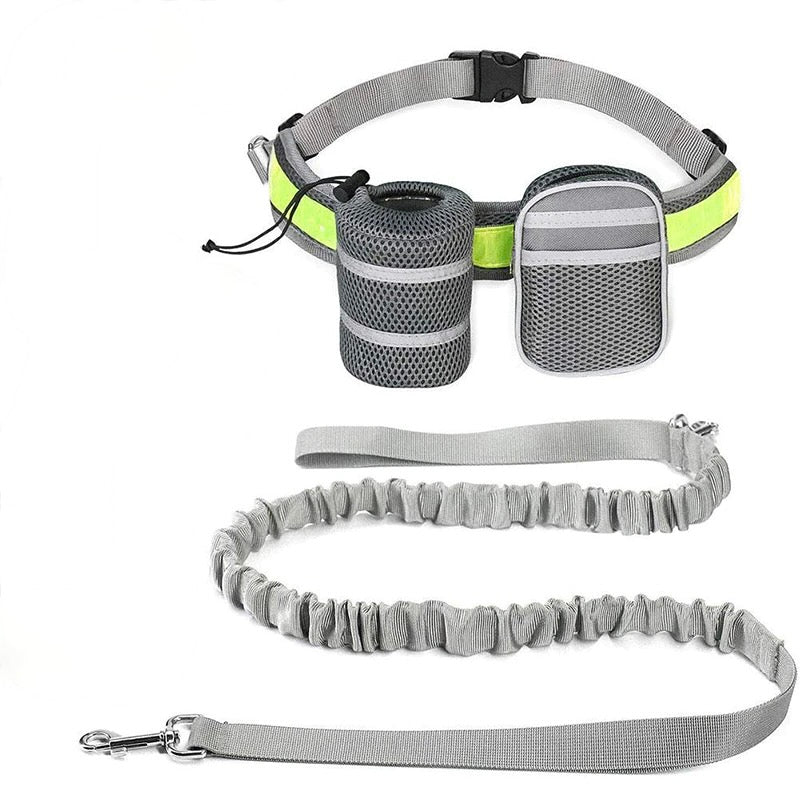 Elastic Reflective Running Dog Lead