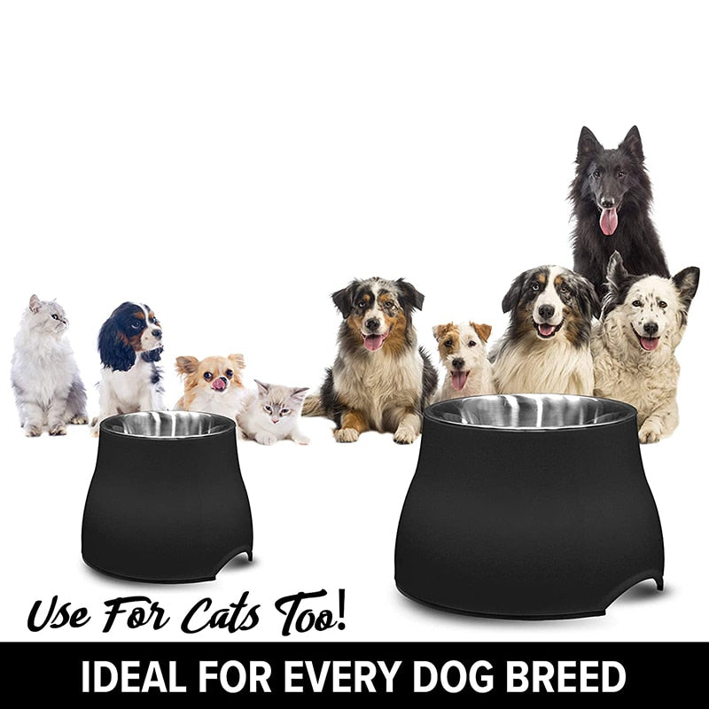 Premium Quality Elevated Dog Bowl