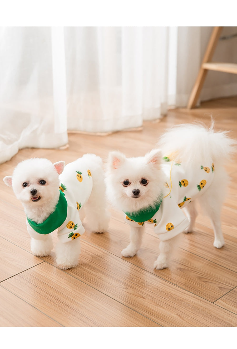 Autumn Pineapple Cute Dog Sweater