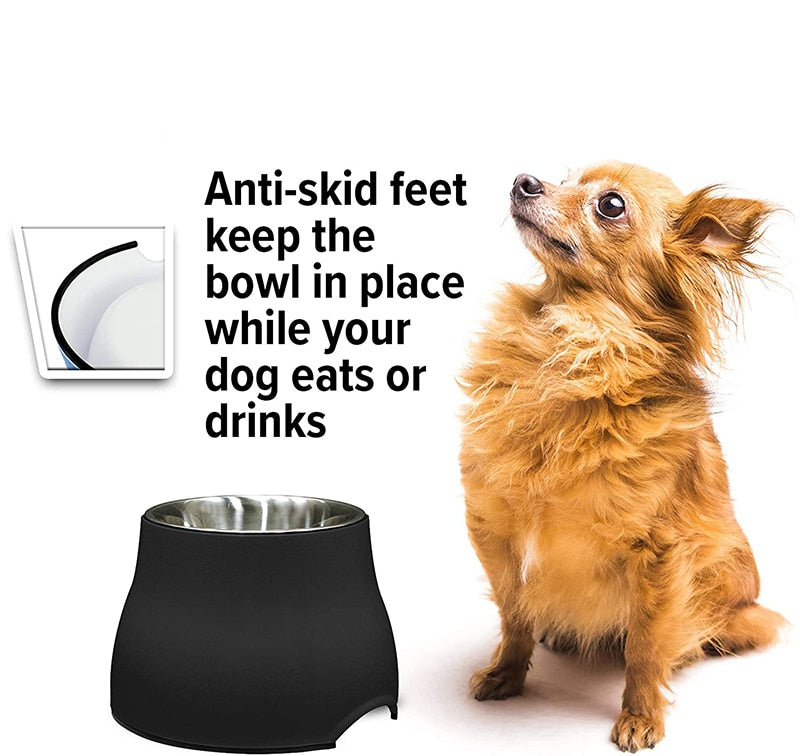 Premium Quality Elevated Dog Bowl