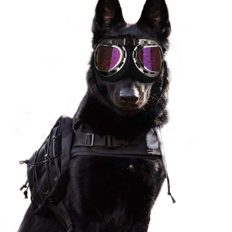 Stylish Motorcycle Dog Goggles