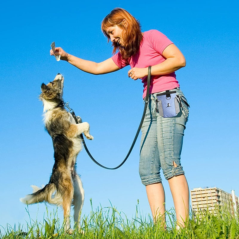 Poop Bag Dispense Dog Treat Pouch