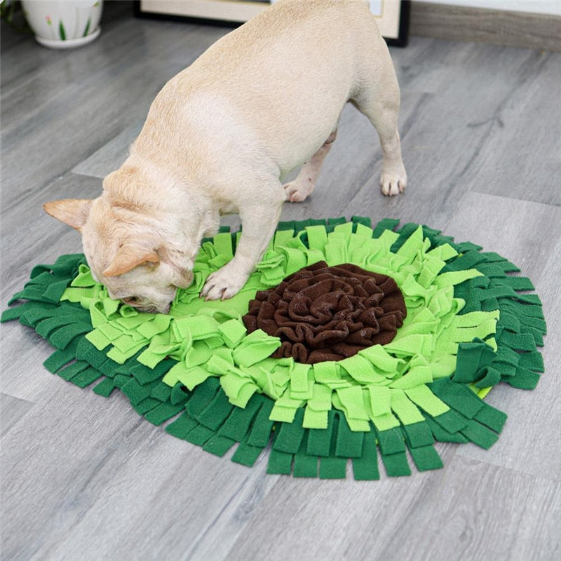 Avocado Dog Snuffle Toy