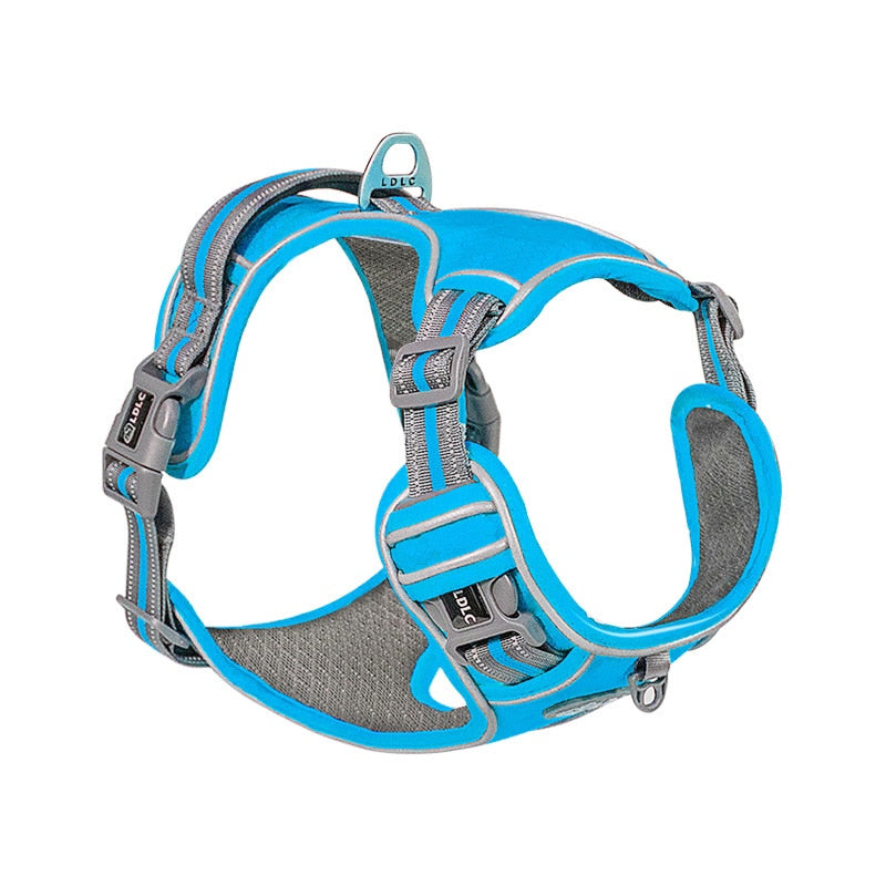 The Hornets Oxford Dog Harness