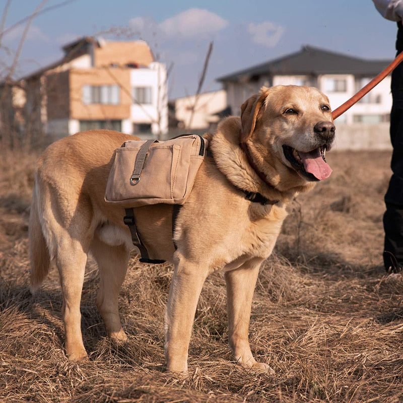 Urban Large Dog Saddle Bag