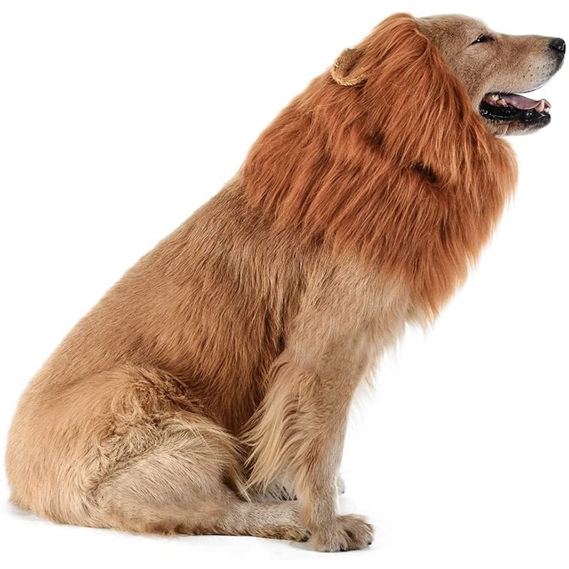 Halloween Dog Lion Costume