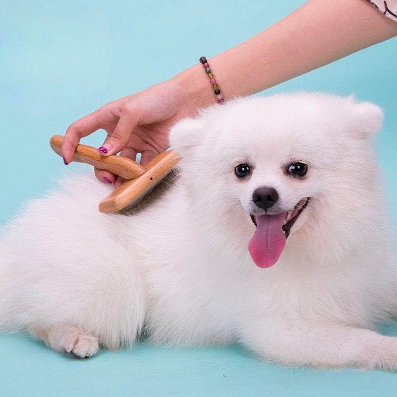 Soft Pad Dog Grooming Brush