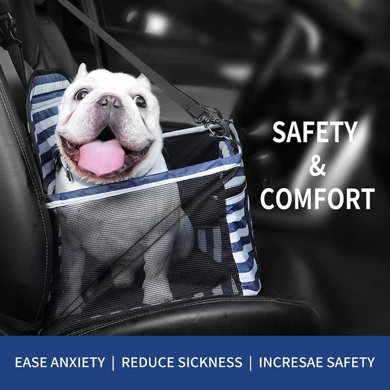 Fashion Dog Booster Car Seat Carrier