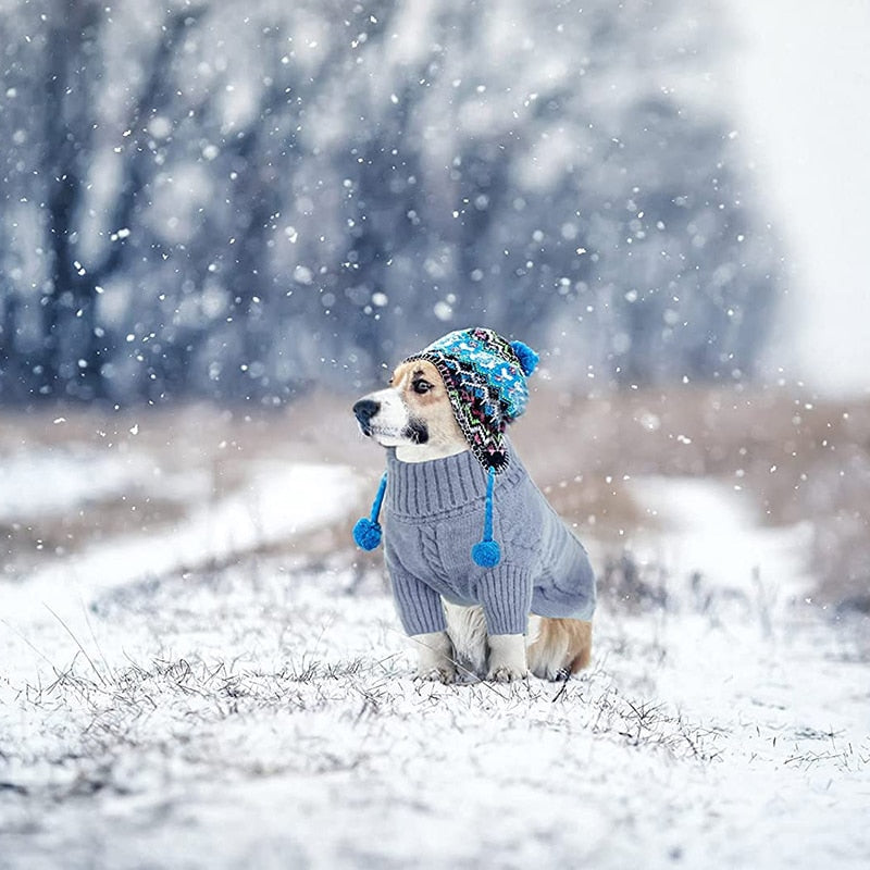 Classic Turtleneck Warm Dog Sweater