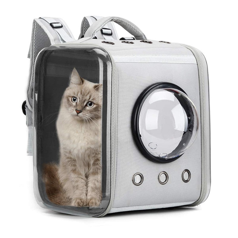 Ventilated Big Space Transparent Pet Carrier