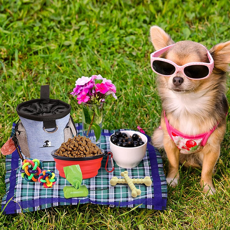 Poop Bag Dispense Dog Treat Pouch