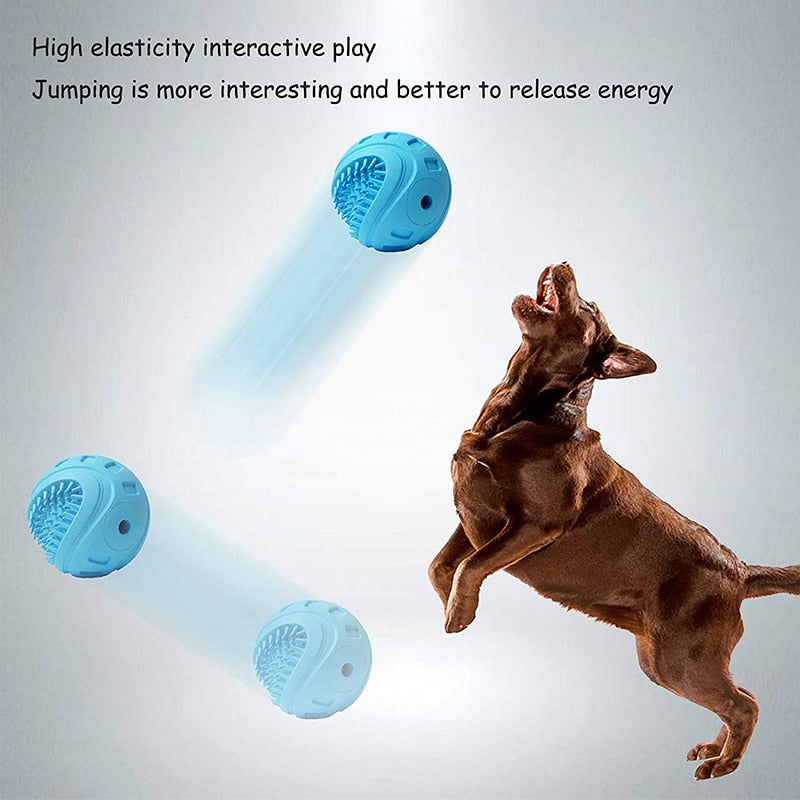 Rubber Floating Bouncy Pet Ball