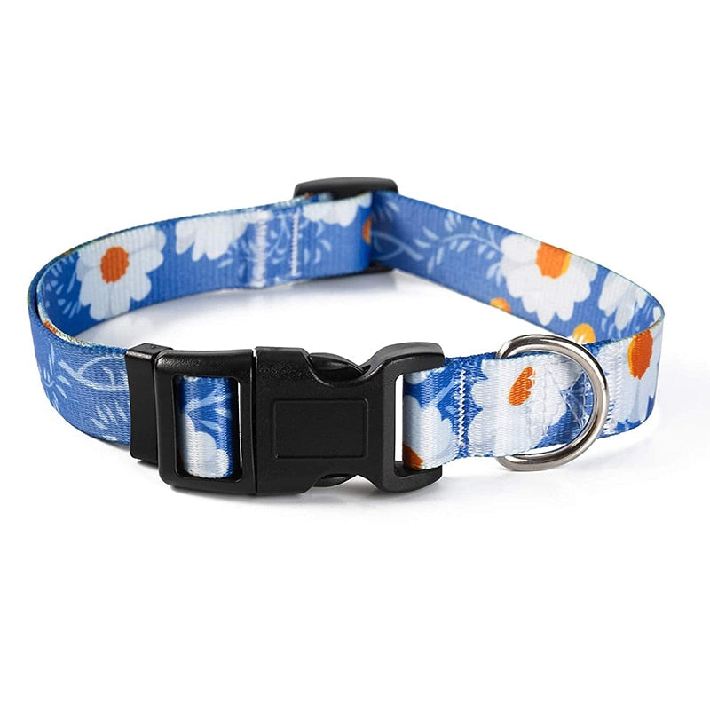 Bohemain Nylon Floral Dog Collar