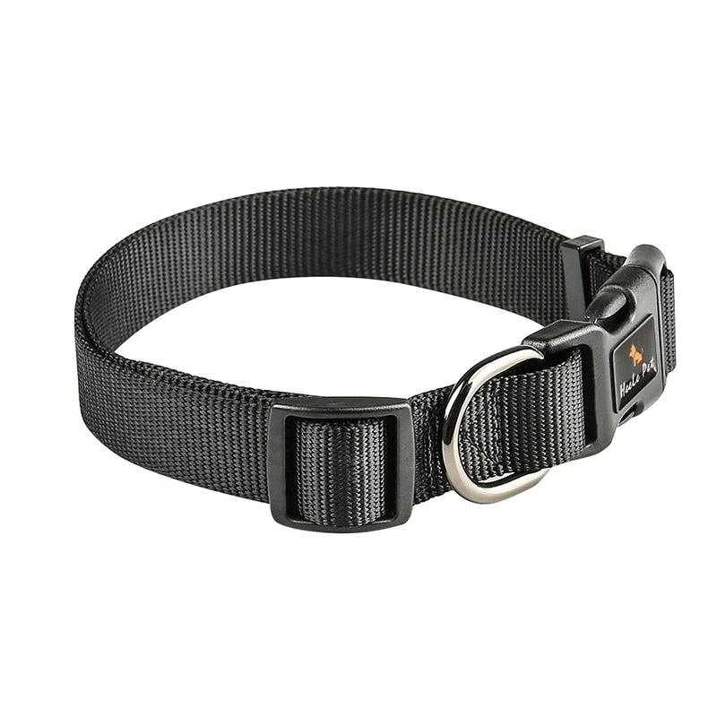 Safety Locked Buckle Dog Collar