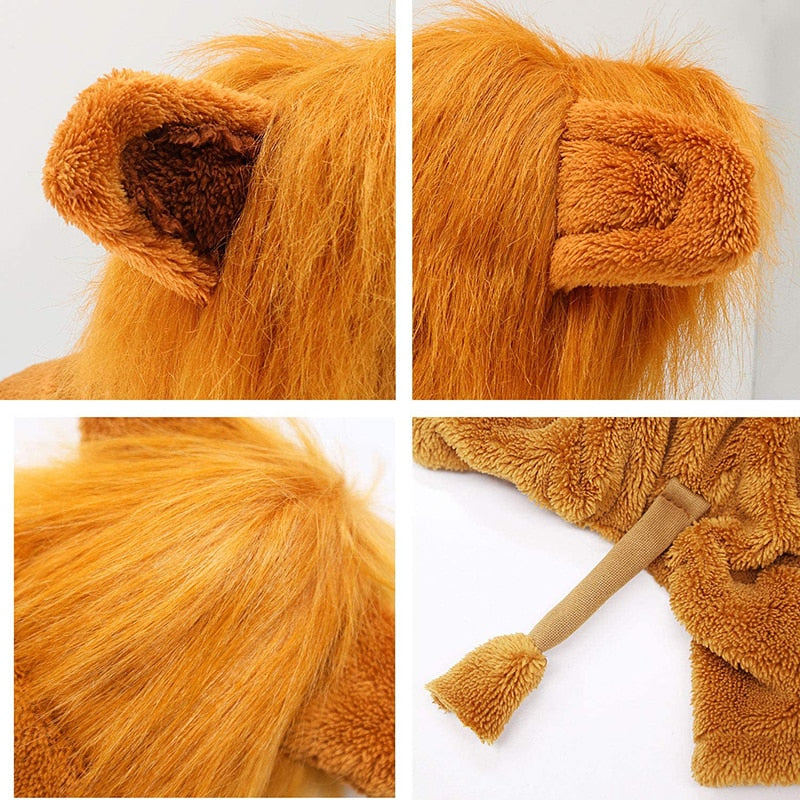 Halloween Party Cozy Lion Dog Cosplay