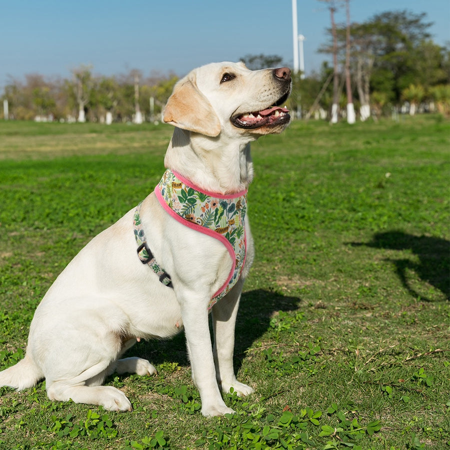 Cute Printed Adjustable Dog Harness