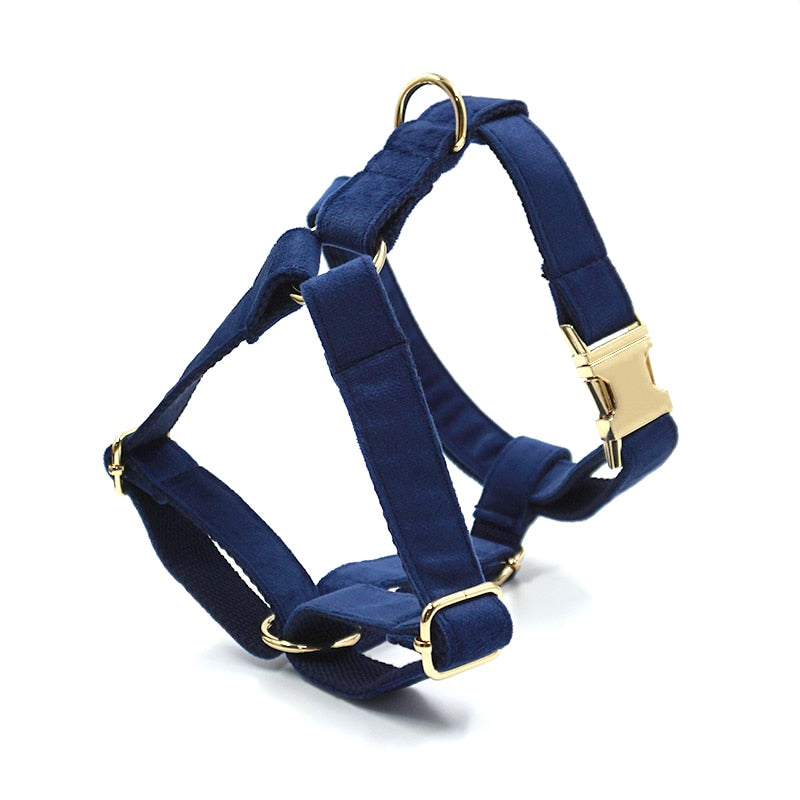 Luxury Deep Blue Velvet Dog Harness