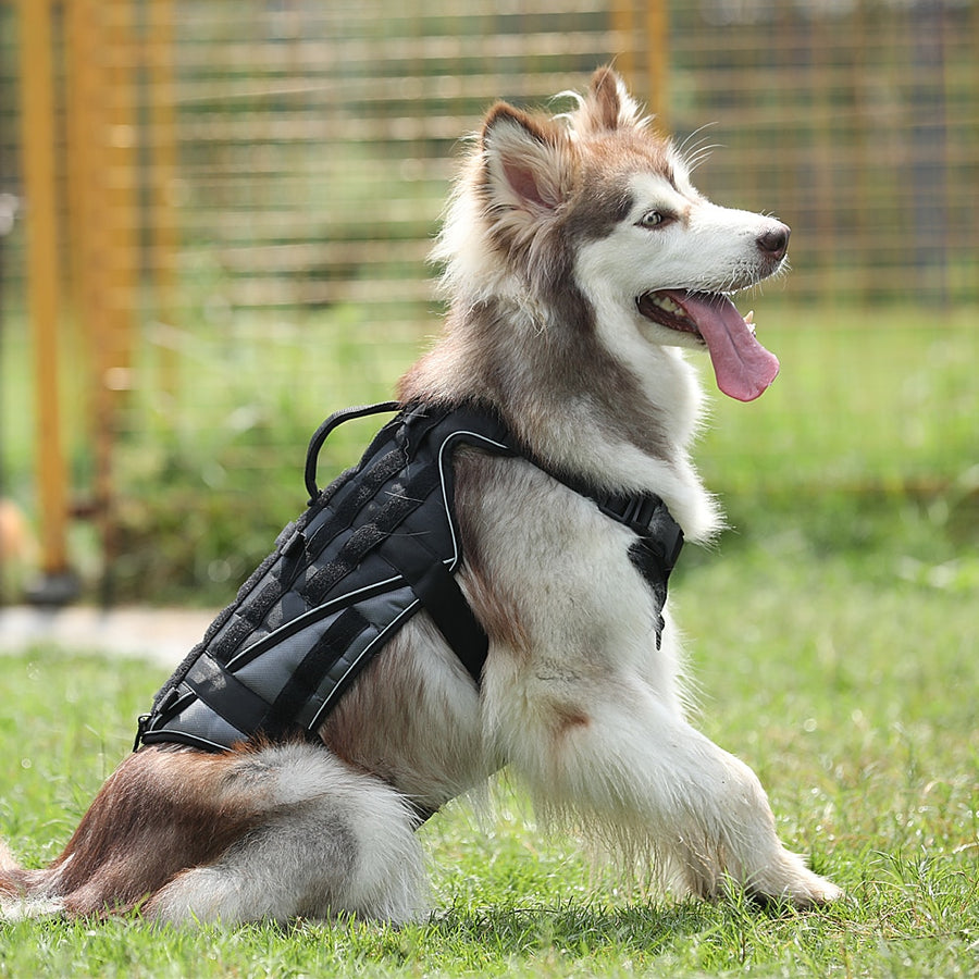 German Shepherd Military Dog Harness