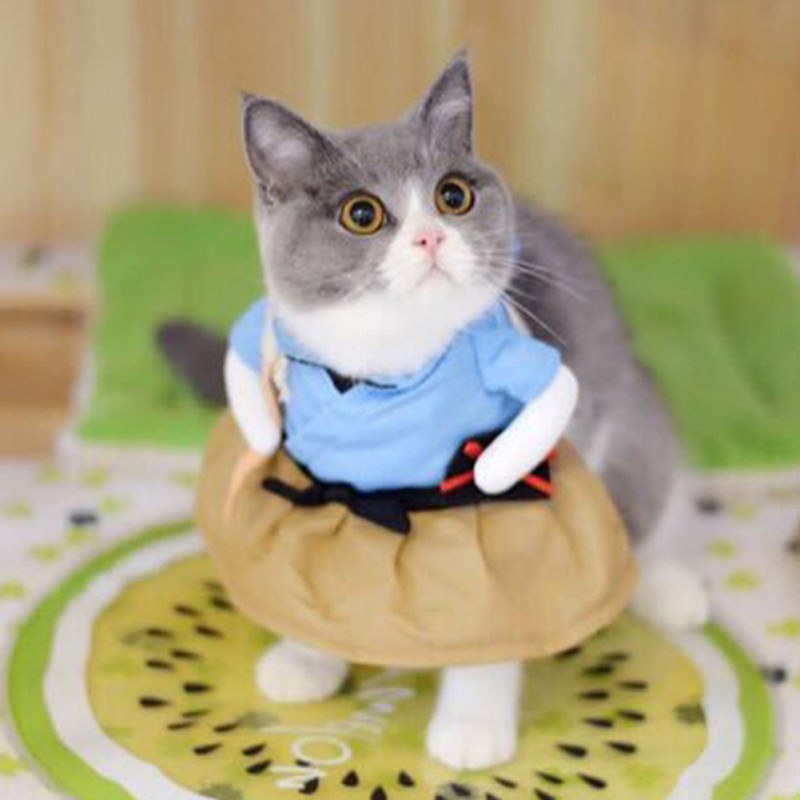 Funny Samurai Pet Costume