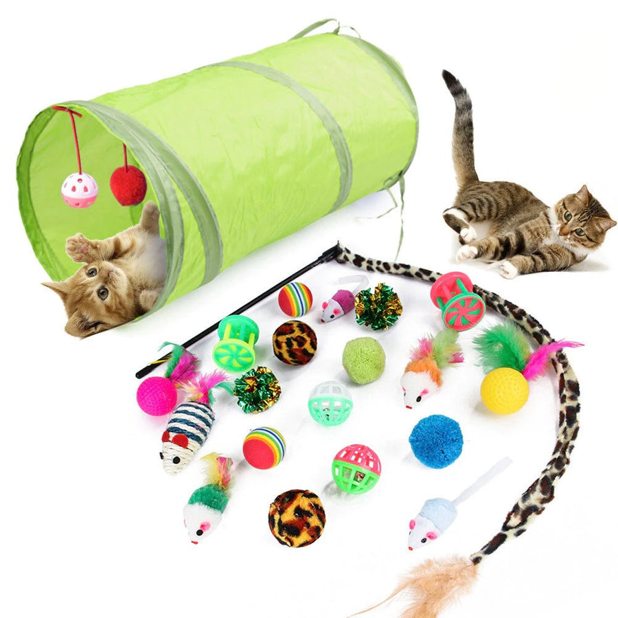 21 Pack Fun Cat Toy