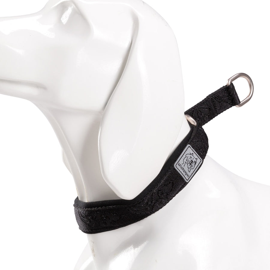 Nylon Webbing P-Chain Explosion Proof Dog Collar