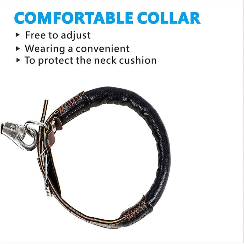 Strong PU Leather Dog Collar Leash Set