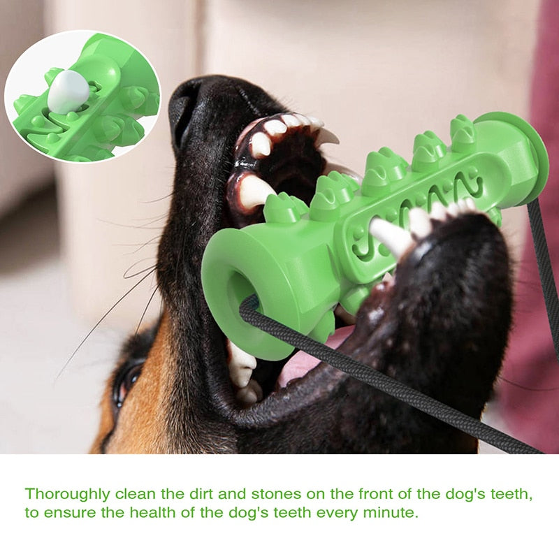 Fun Tug Suction Cup Dog Toys