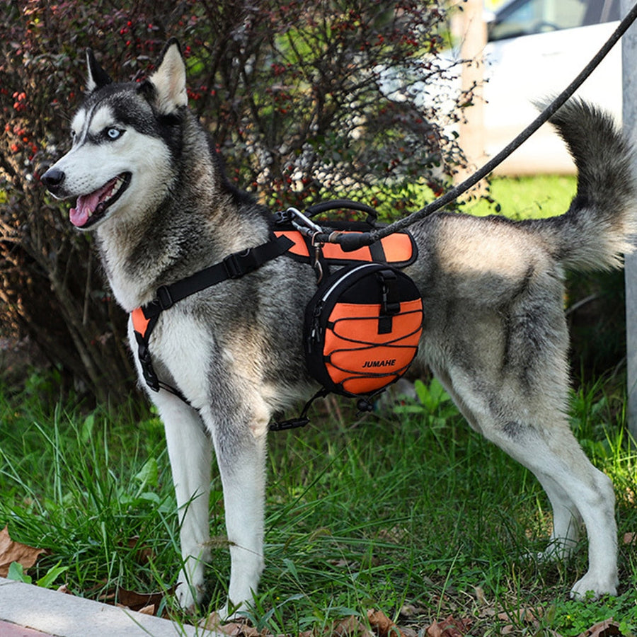 Double Slider Dog Tactical Harness