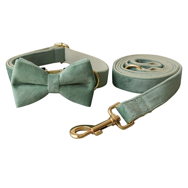 Luxury Green Velvet Dog Collar Set