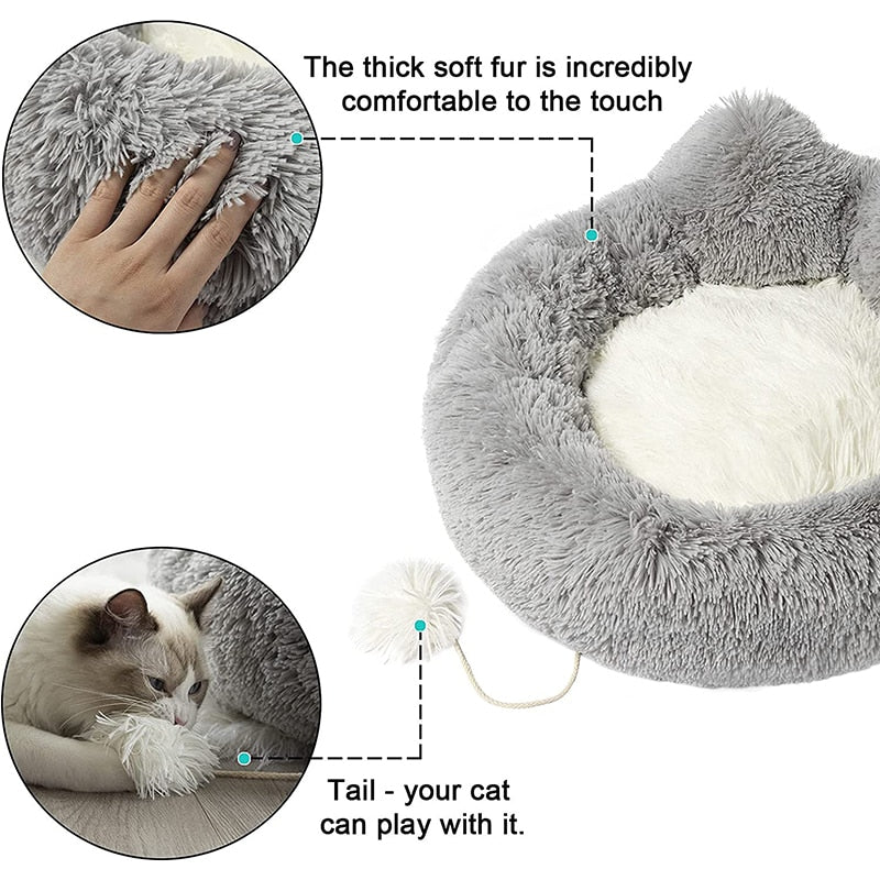 High Quality Polypropylene Pet Bed