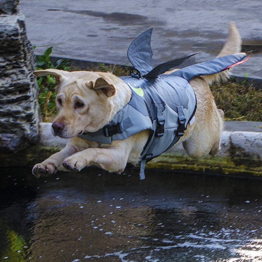 Dragon Design Dog Life Vest