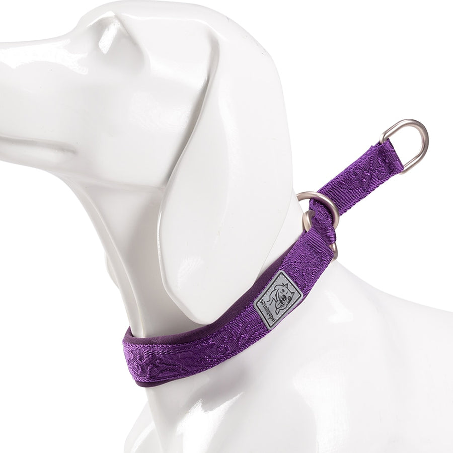 Nylon Webbing P-Chain Explosion Proof Dog Collar