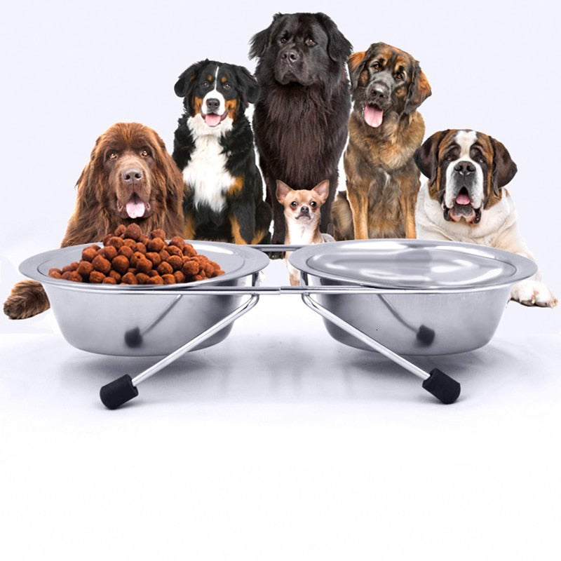 Silent Double Diner Raised Dog Bowl